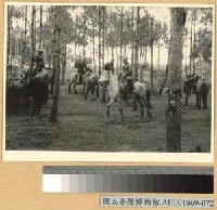 藏品(廣東新豐前線之我軍)的圖片